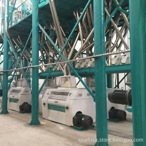 Advanced Maize Flour Grits Meal Mill Machine - 100t/24h Capacity for Super White Flour